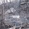 1990 Incendio2