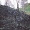 1990 Incendio1