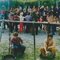 D16 Preparazione e distribuzione delle caldarroste durante la festa di San Luca 1980