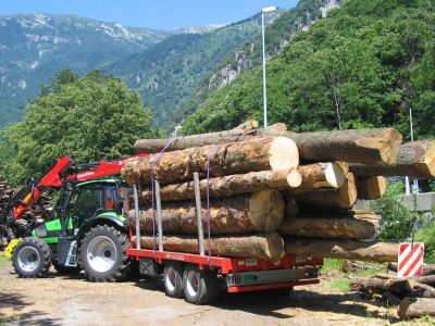 Azienda forestale