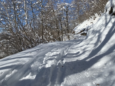 Chiusura strada forestale Miranda-Monteggia-Vegnasca in caso di neve e ghiaccio